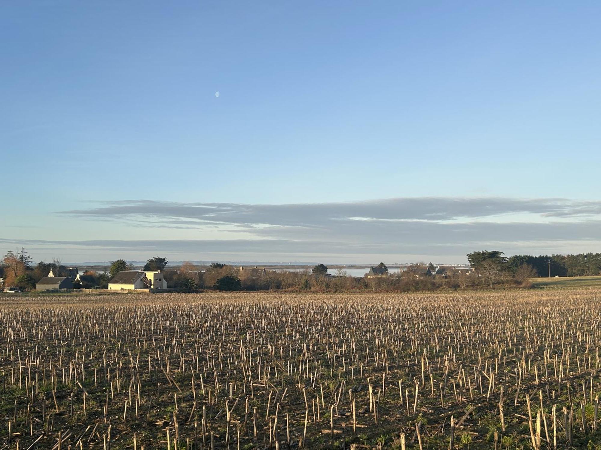 Petit Duplex Proche Mer Plouhinec  Esterno foto